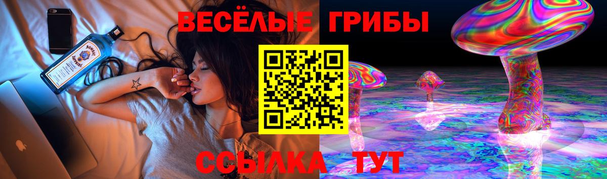 Псилоцибиновые грибы ЛСД  Вход с VPN  где купить наркотик  Кольчугино 